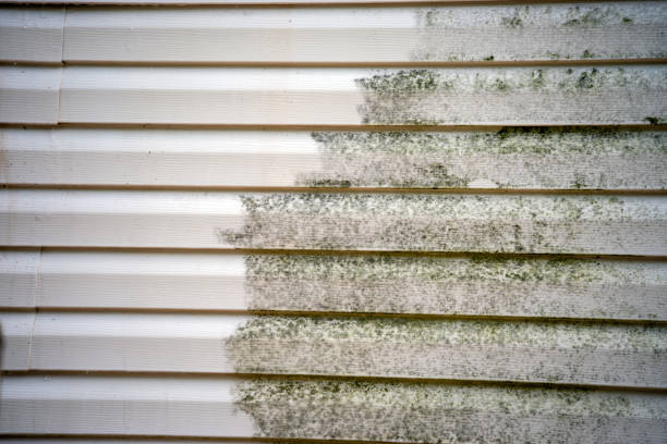 Best Engineered Wood Siding  in Centreville, VA