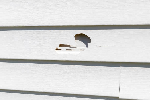 Best Historical Building Siding Restoration  in Centreville, VA