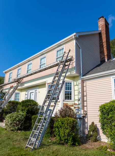 Best Siding Painting and Refinishing  in Centreville, VA