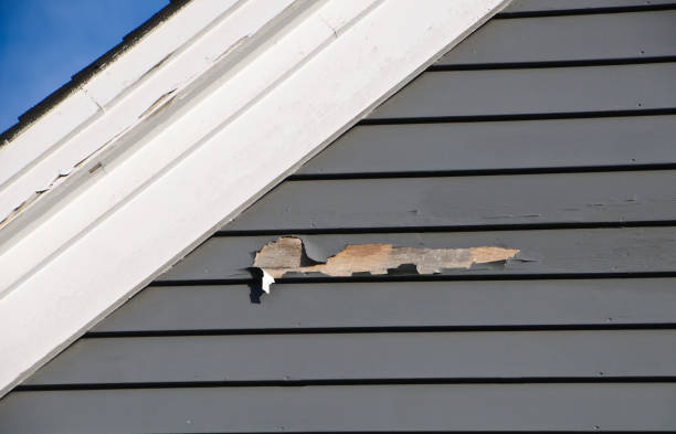 Best Insulated Siding Installation  in Centreville, VA