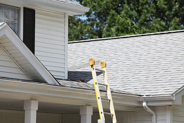 Affordable siding repair and maintenance services in Centreville, VA