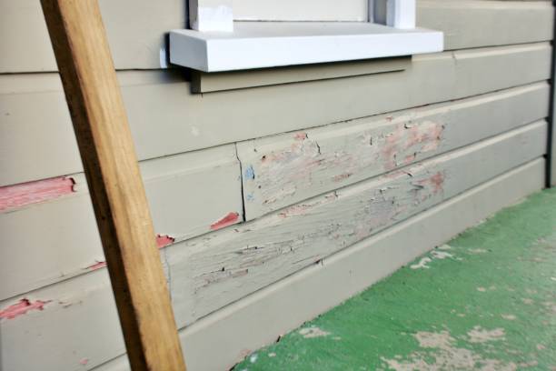 Best Brick Veneer Siding  in Centreville, VA