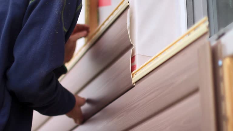 Best Custom Trim and Detailing for Siding  in Centreville, VA